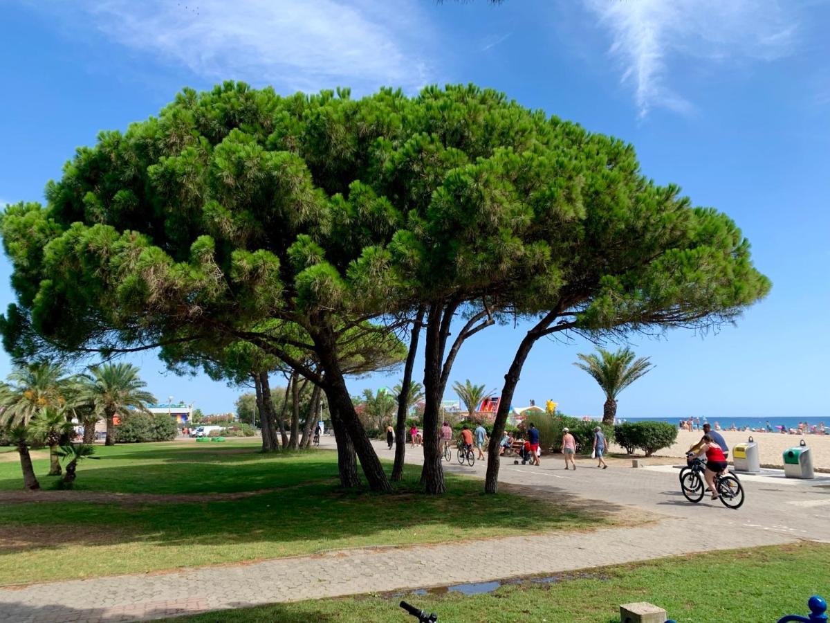 Superbe Appartement Neuf Entre Mer Et Pins Wifi Argelès-sur-Mer Kültér fotó