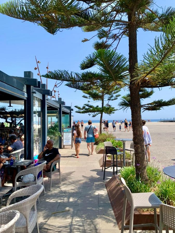 Superbe Appartement Neuf Entre Mer Et Pins Wifi Argelès-sur-Mer Kültér fotó